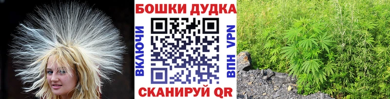 Купить где  Каргат  Конопля семена 
